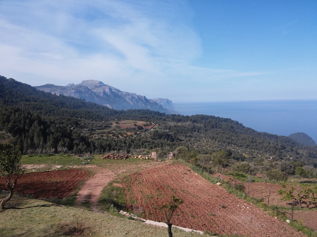 Aussicht am Weg zu Es Planicia